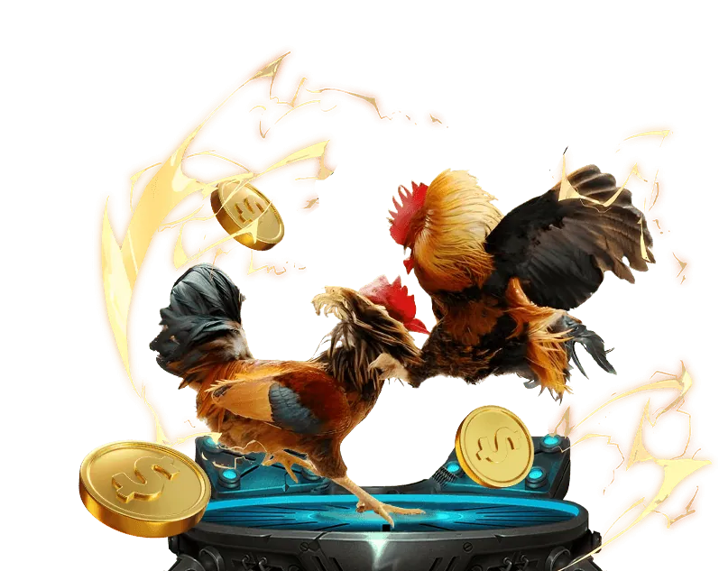 Ứng dụng di động 11vn - Đá gà mọi lúc mọi nơi